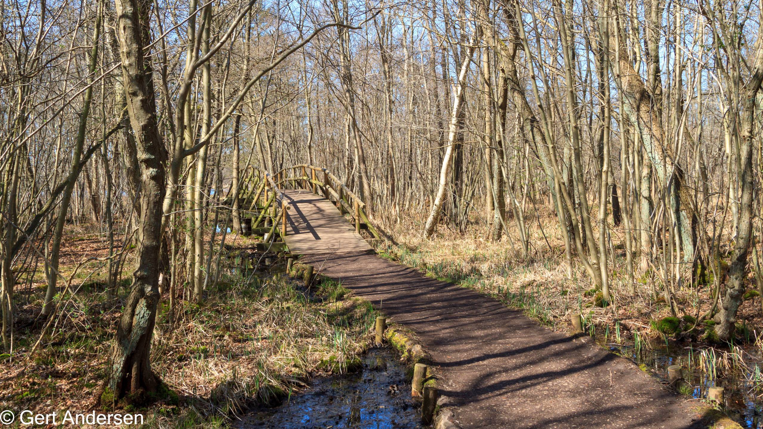 Lyngby Sø (20 of 37) compressed